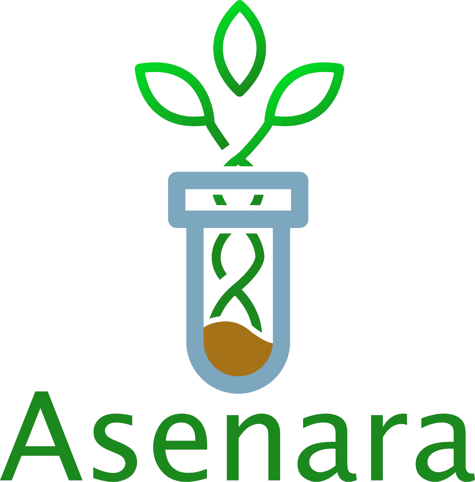 Asenara